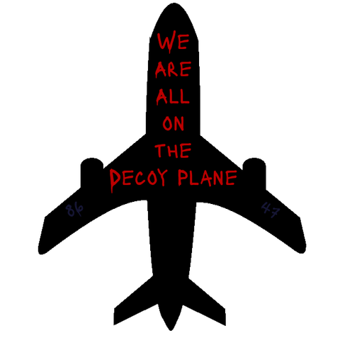 silhouette of a plane from above with "We Are All on the Decoy Plane" in red spray paint like letters down the middle, and dark grey spray paint like letters of "86" on the left wing and "47" on the right wing