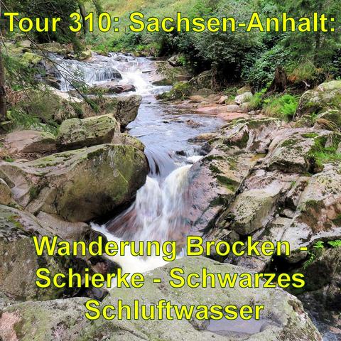 Ein lebhafter Bach fließt über eine steinige Passage im Harz. Das Wasser bildet kleine Strudel und Wasserfälle, während es über die braunen und moosbedeckten Steine sprudelt. Das Ufer ist dicht mit grüner Vegetation bewachsen, was auf eine naturnahe Umgebung hindeutet. Die Aufnahme wure an einem hellen Tag ohne direkte Sonneneinstrahlung gemacht, es sind keine starken Schatten sichtbar. Die fließende Bewegung des Wassers ist in der Mitte des Bildes zu erkennen, was ein Gefühl von Bewegung vermi…