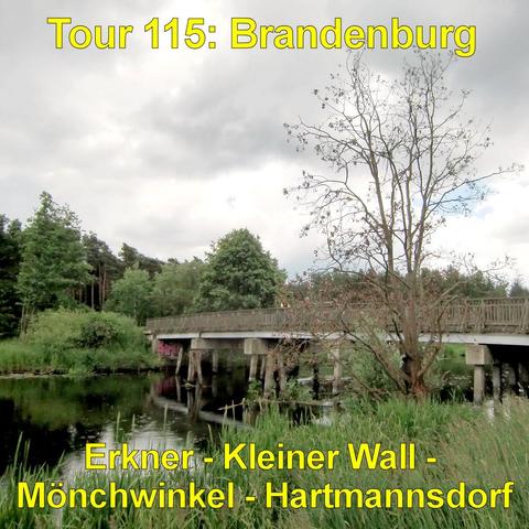 Eine schmale Brücke mit hölzernem Geländer führt über einen ruhigen Fluss. Sie steht auf mehreren Betonpfeilern, die im Wasser verankert sind. Unter der Brücke spiegeln sich die dunklen Wasserflächen und Teile der Konstruktion. Am Ufer wachsen hohe Gräser und dichtes Schilf. Rechts im Vordergrund steht ein schlanker Baum mit dünnen, teilweise kahlen Ästen. Im Hintergrund erstreckt sich ein dichter Wald aus Laub- und Nadelbäumen. Der Himmel ist stark bewölkt mit dunklen und helleren Wolkenfelder…