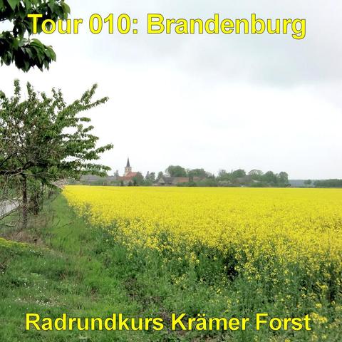 Weites, leuchtend gelbes Rapsfeld erstreckt sich bis zum Horizont. Im Vordergrund wächst grünes Gras mit einzelnen Wildpflanzen am Rand eines schmalen Weges. Links ragt ein belaubter Baum mit ausladenden Ästen ins Bild. In der Ferne liegt ein kleines Dorf mit mehreren Häusern und einem Kirchturm, der über die Dächer hinausragt. Der Himmel ist hell und leicht bewölkt, mit einer gleichmäßigen, grauen Wolkendecke. Die Landschaft wirkt offen und ruhig, geprägt von Landwirtschaft und weiter Ebene.