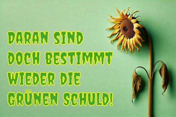 Das Bild zeigt eine verwelkte Sonnenblume vor einem grünen Hintergrund. Daneben steht in großen, gelb umrandeten Buchstaben der Satz: „DARAN SIND DOCH BESTIMMT WIEDER DIE GRÜNEN SCHULD!“. Die Gestaltung und Wortwahl deuten auf eine politisch satirische Aussage hin.