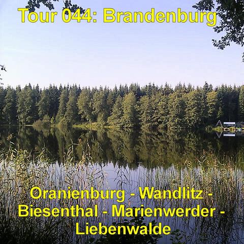 Ein ruhiger See liegt spiegelglatt unter einem klaren blauen Himmel. Die Wasseroberfläche reflektiert die umliegenden Bäume nahezu symmetrisch. Am Ufer wachsen Schilf und niedrige Sträucher. Links und rechts rahmen hohe Bäume mit grünen Blättern die Aussicht ein, darunter eine Birke mit hellem Stamm. In der Ferne zieht sich ein bewaldetes Ufer als dunkler Streifen am Horizont entlang. Die Stimmung wirkt still und klar, ohne sichtbare Boote oder Menschen.