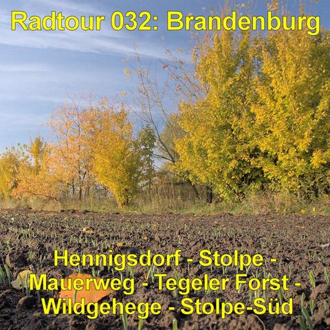 Ein frisch gepflügtes Feld erstreckt sich im Vordergrund mit dunkler, aufgeworfener Erde. In geraden Reihen wachsen kleine grüne Pflanzen aus dem Boden. Ein einzelnes braunes Laubblatt liegt deutlich sichtbar zwischen den Pflanzen. Am Rand des Feldes stehen Bäume mit leuchtend gelben und orangefarbenen Blättern, deren Kronen im Sonnenlicht strahlen. Der Himmel darüber ist klar und blau mit feinen, hellen Wolkenstreifen.