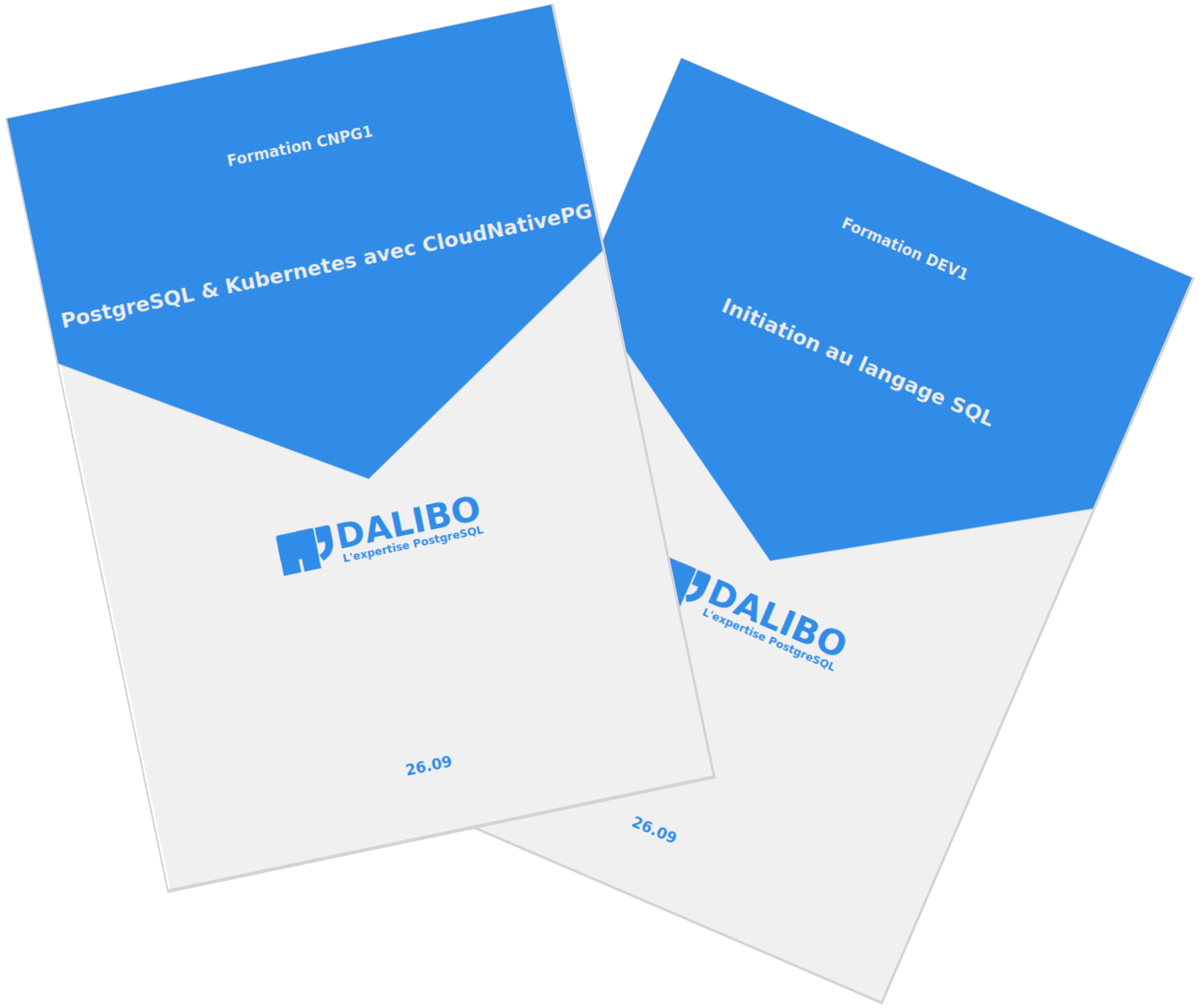 couvertures de 2 manuels de formation Dalibo