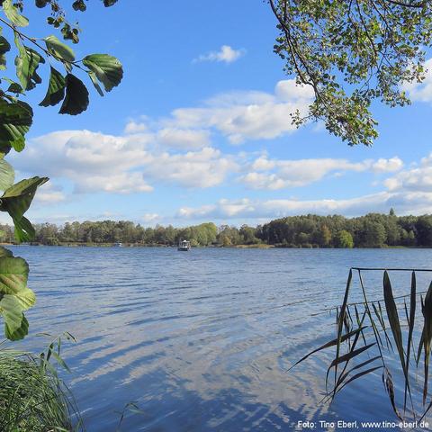 Weitläufiger See mit leicht gekräuselter Wasseroberfläche unter blauem Himmel mit verstreuten weißen Wolken. Im Hintergrund zieht sich eine dichte Baumreihe entlang des Ufers, vor der ein kleines Boot auf dem Wasser erkennbar ist. Am Bildrand ragen Schilfhalme und Laubzweige von links und oben ins Bild hinein, wodurch die Szene von natürlichen Elementen umrahmt wird.